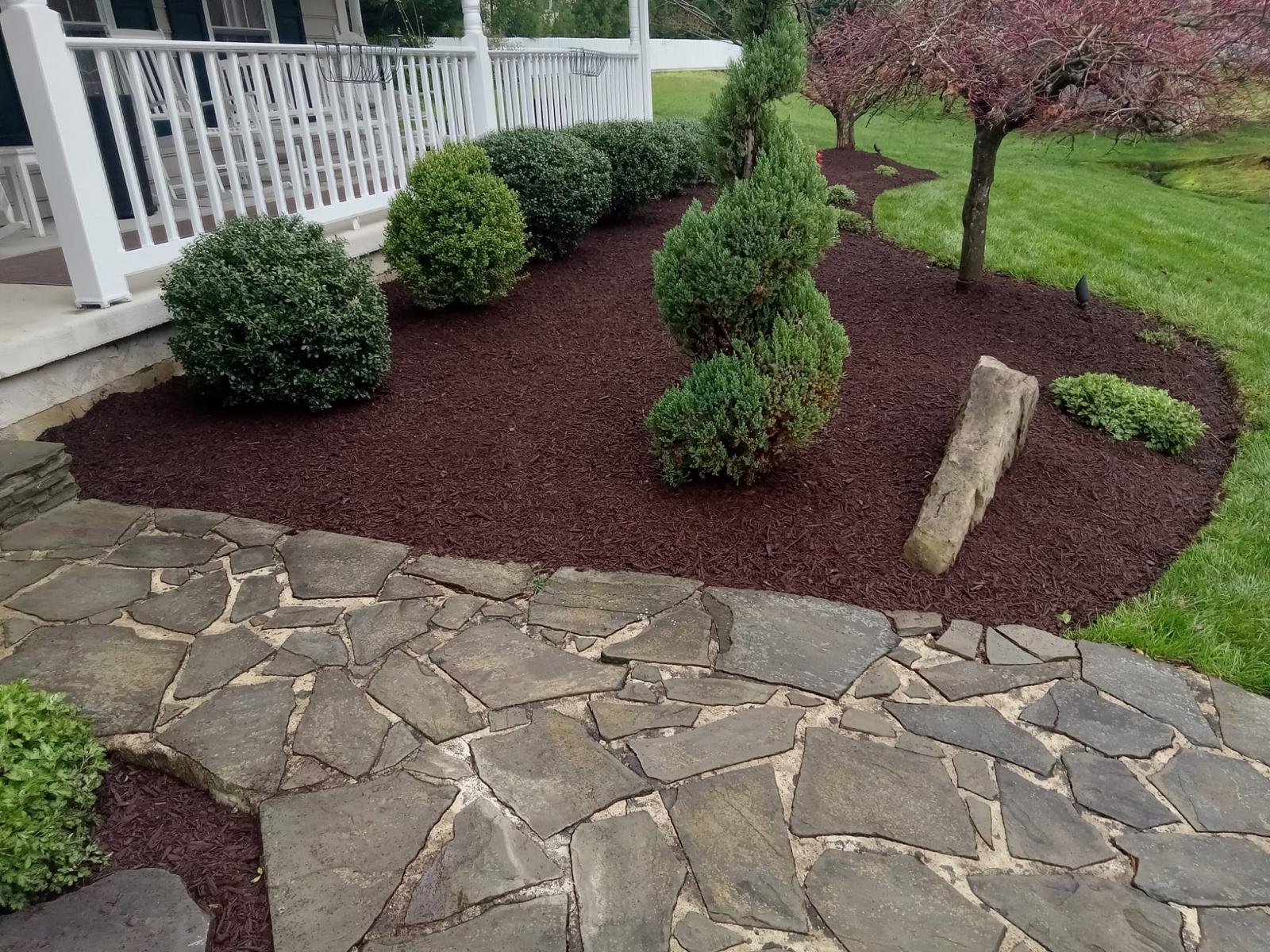 Maintained backyard with healthy grass, trees and landscaping